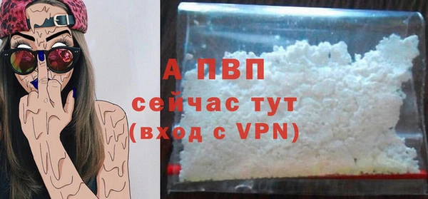 ECSTASY Елизово