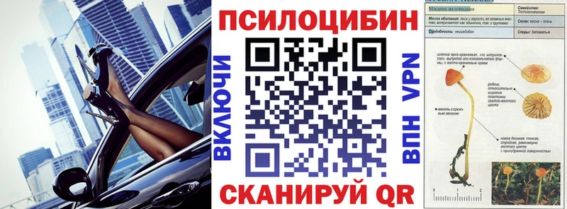 Купить где  Кодинск  Галлюциногенные грибы мицелий 